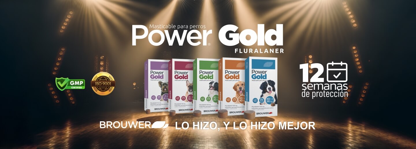 Power gold de venta en Quimiovet