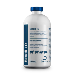 Excell 10