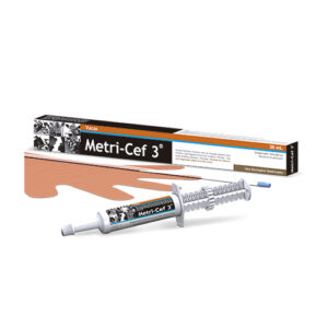 Metri-CEF 3